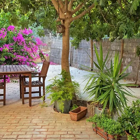 Appartement Iason Seaview In Latchi Polis